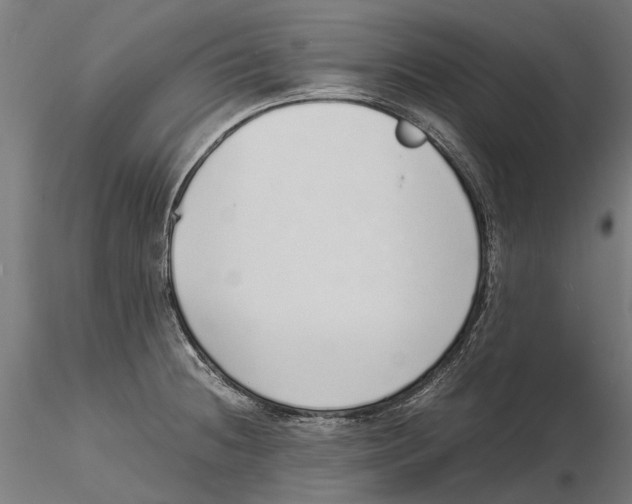 X0000115501236200912041031