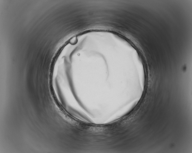 X0000115501237200912041031