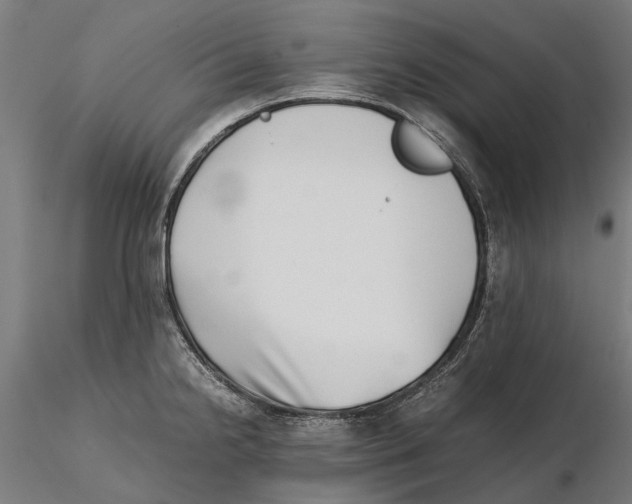 X0000115501238200912041031