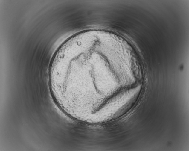 X0000115501239200912041031