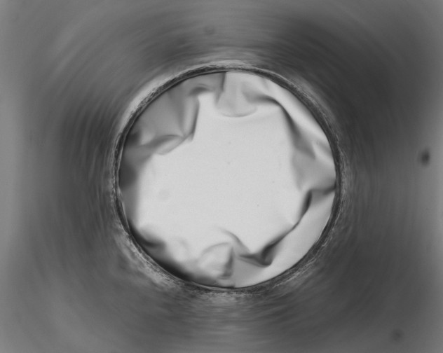 X0000115501240200912041031