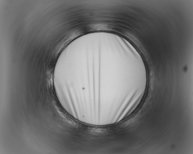 X0000115501241200912041031