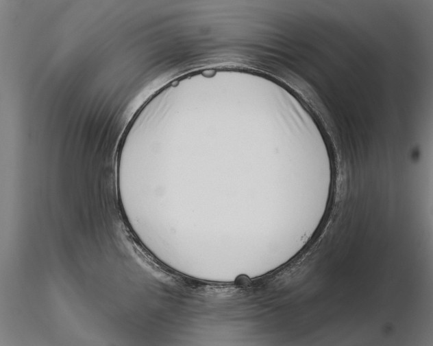 X0000115501242200912041031