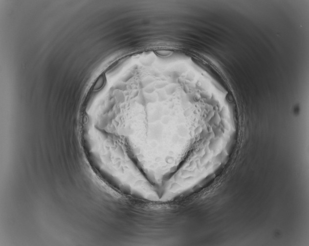 X0000115501243200912041031