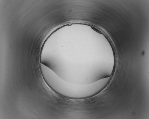 X0000115501244200912041031