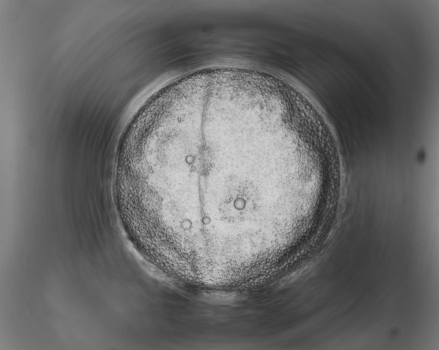 X0000115501245200912041031