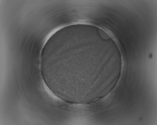 X0000115501246200912041031