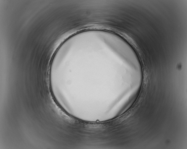 X0000115501247200912041031