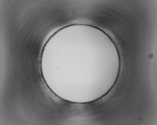 X0000115501248200912041031