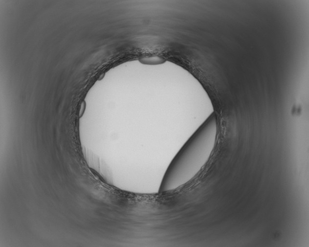 X0000115501249200912041030