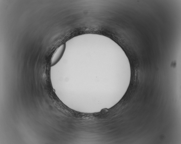 X0000115501250200912041030