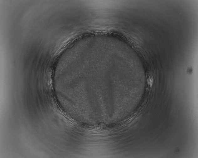 X0000115501252200912041030