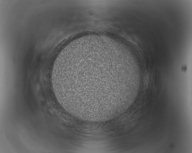 X0000115501254200912041030