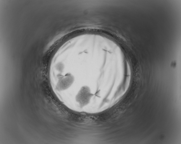 X0000115501255200912041030