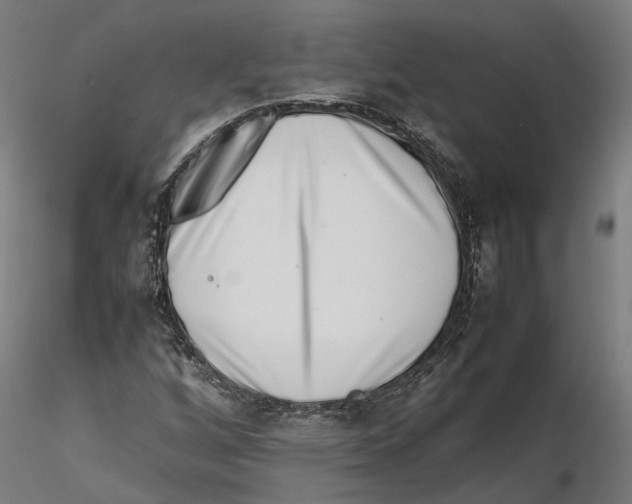 X0000115501256200912041030