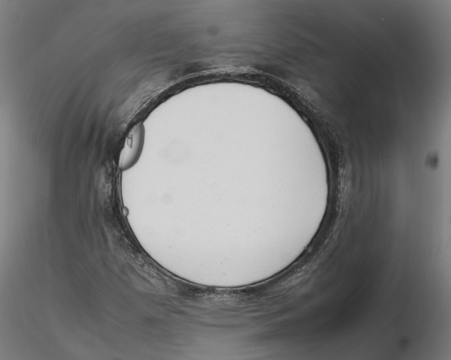 X0000115501257200912041030