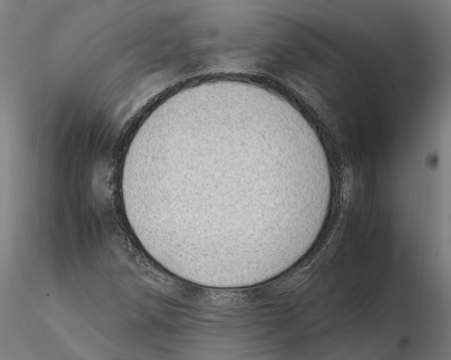 X0000115501258200912041030