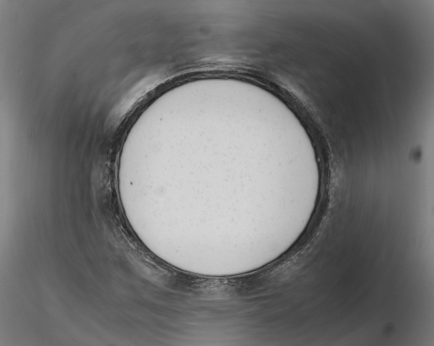 X0000115501259200912041030