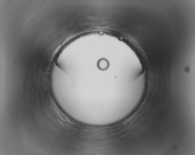 X0000115501260200912041030