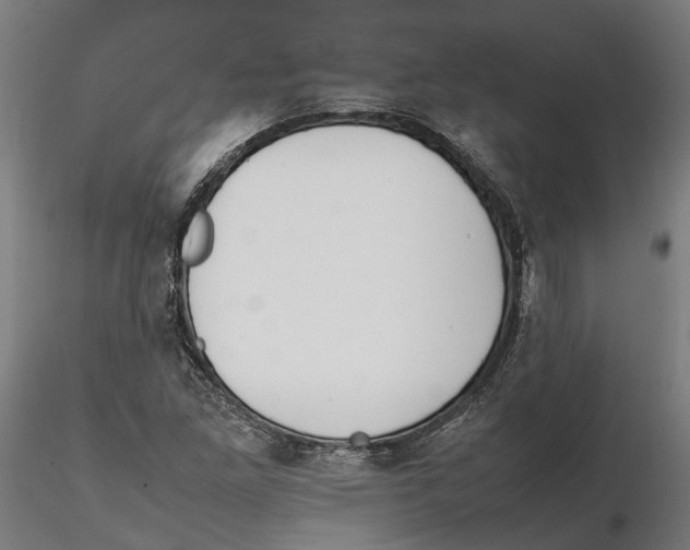 X0000115501261200912041030