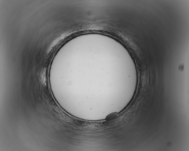 X0000115501262200912041030