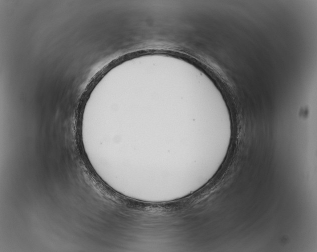 X0000115501264200912041030