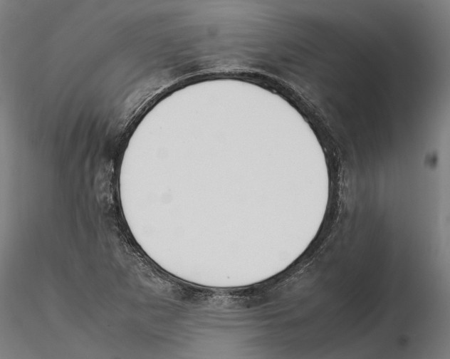 X0000115501265200912041030