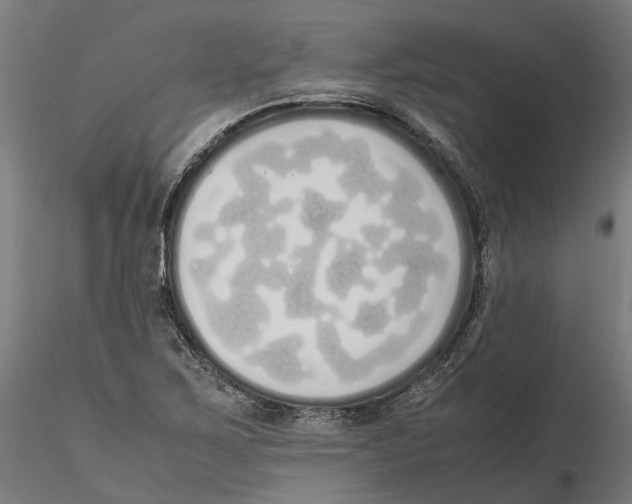 X0000115501267200912041030