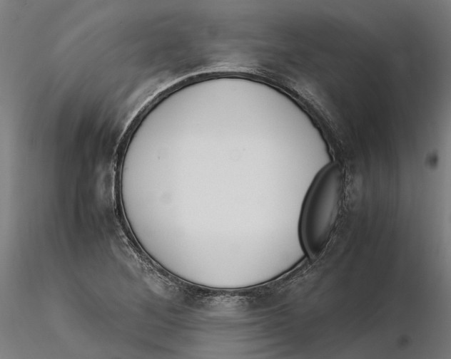 X0000115501268200912041030