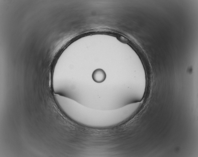 X0000115501269200912041030