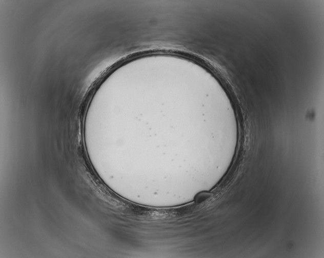 X0000115501271200912041030