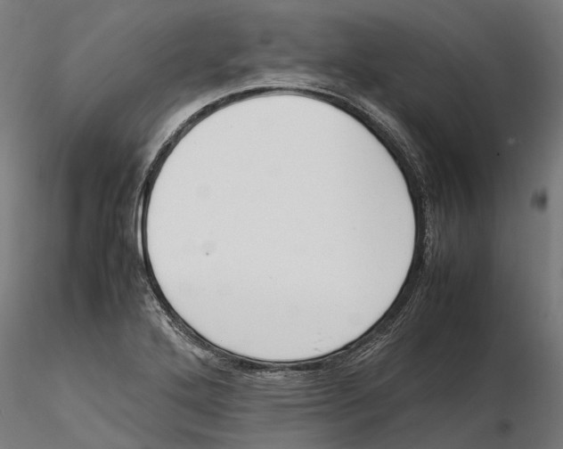 X0000115501272200912041030