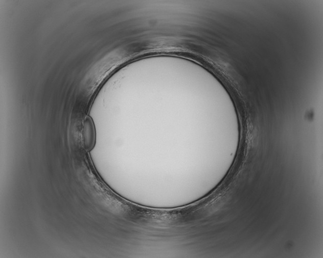 X0000115501273200912041030