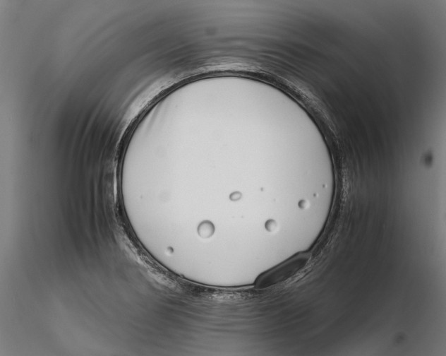 X0000115501274200912041030