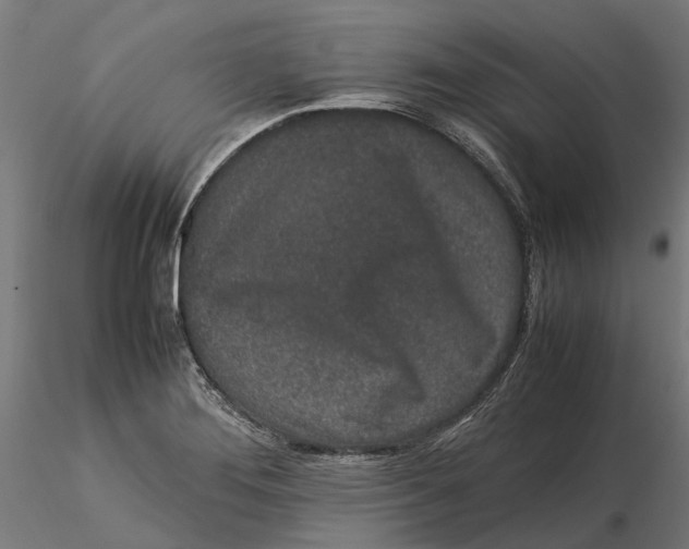 X0000115501276200912041030