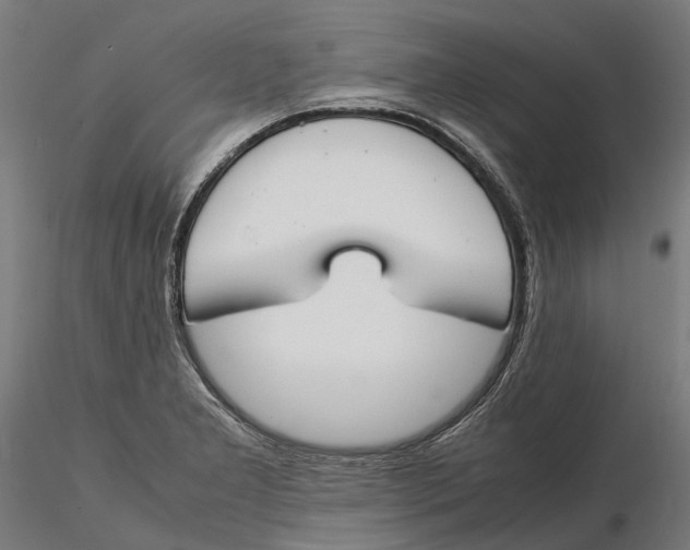 X0000115501277200912041030