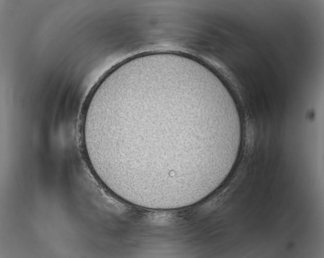 X0000115501278200912041030