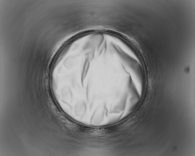 X0000115501279200912041030