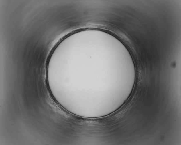 X0000115501280200912041030