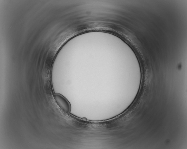 X0000115501281200912041030