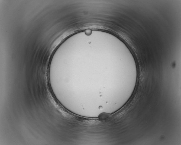 X0000115501282200912041030