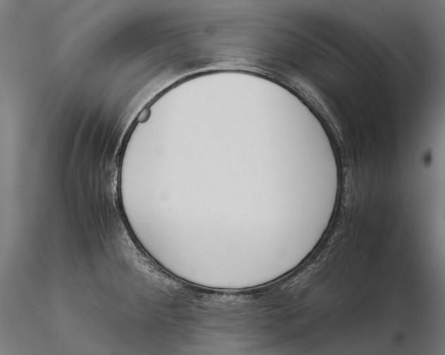 X0000115501284200912041030