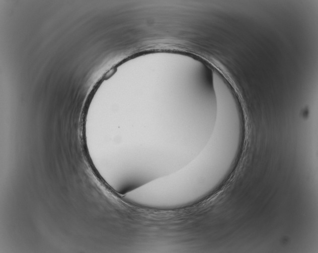 X0000115501285200912041030