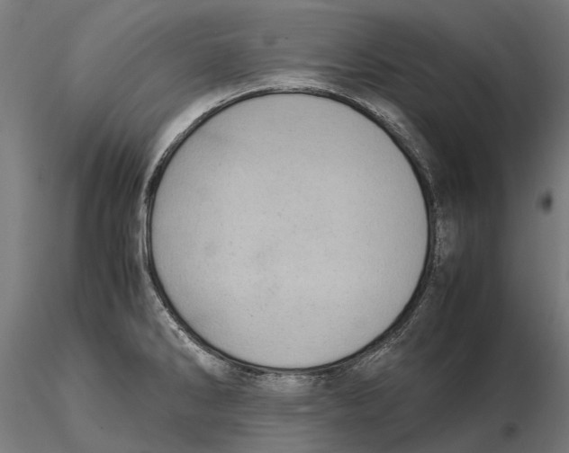 X0000115501286200912041030