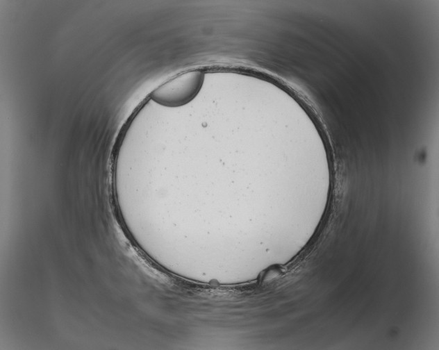 X0000115501287200912041030