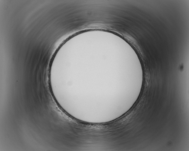X0000115501288200912041030