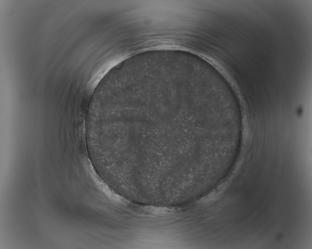 X0000115501289200912041030