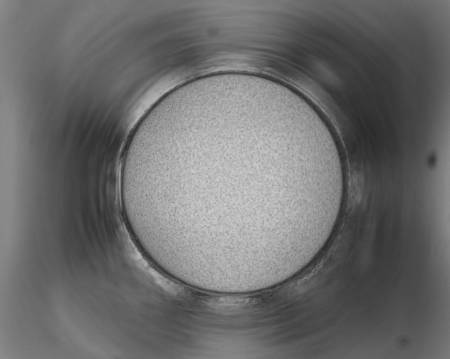 X0000115501290200912041030
