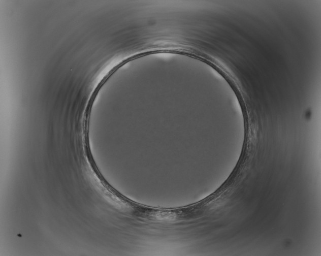 X0000115501291200912041030