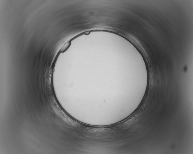 X0000115501292200912041030